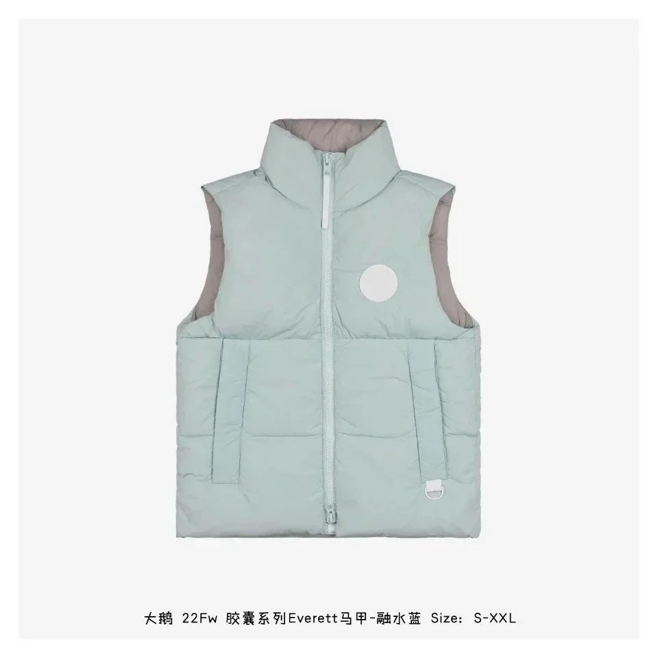 Goose12