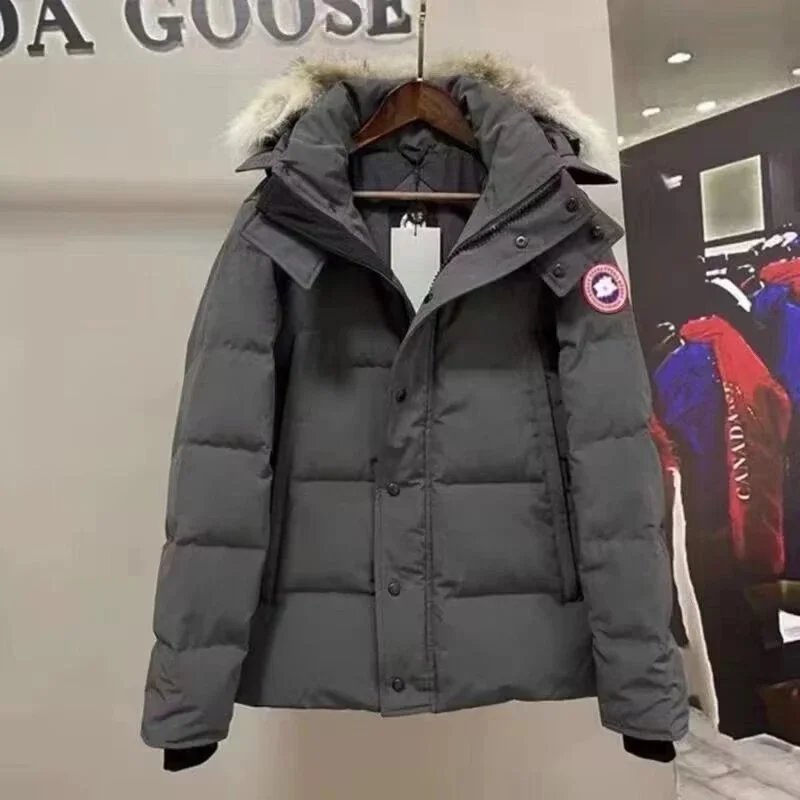 灰色红标毛领