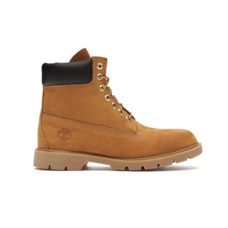 Wheat TB018094231